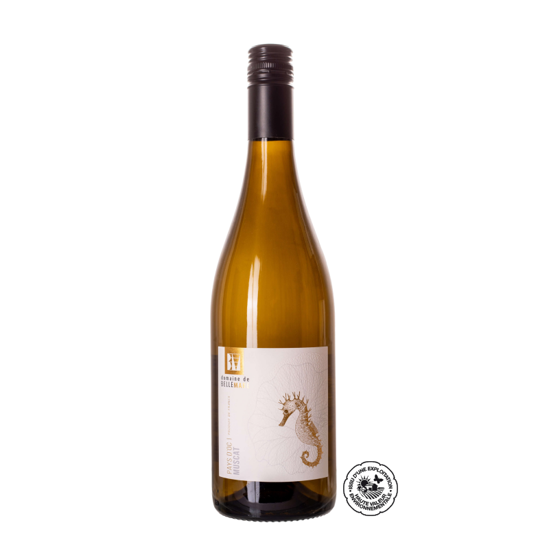 Belle Mare Muscat