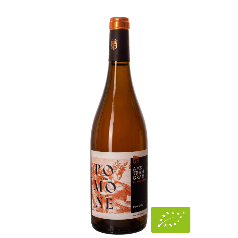 AMS TRAM GRAM Pomone Le Vin Orange